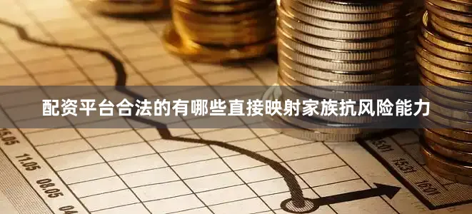 配资平台合法的有哪些直接映射家族抗风险能力